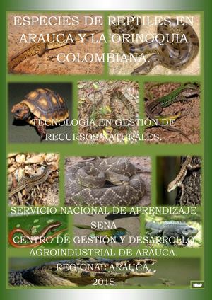 Especies De Reptiles En Arauca Y La Orinoquia Colombiana