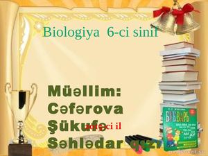 Презентация1 Dərs- təqdimat(innovativ dərs nümunəsi)