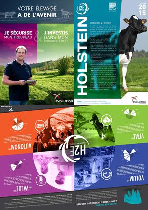 INDEX HOLSTEIN - Genoe - Juillet 2015