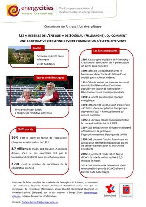 Chroniqueste Schoenau Fichemarketing