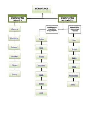Bioelementos kenia Escobar trabajo de recuperacion ciencias naturales con orientacion ambiental