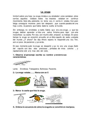 La Oruga COMPRENSION LECTORA PARA EDUCACION PRIMARIA