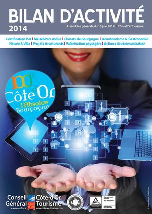 Bilan D'activité 2014