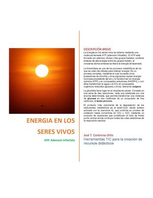 Obtención De La Energía En Los Seres Vivos
