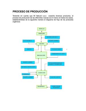 Proceso De Produccion