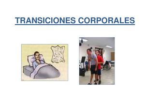 Transiciones Posturales