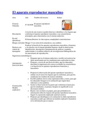 Ciencias Naturales 8 Año