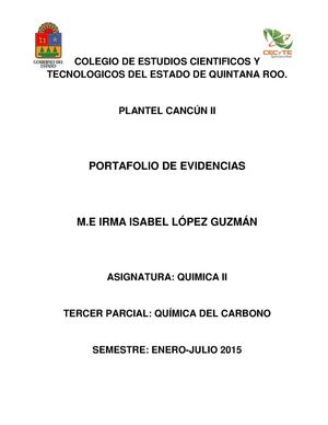 Portafolio Irma Isabel Lopez Guzmán M4 T1 Act2