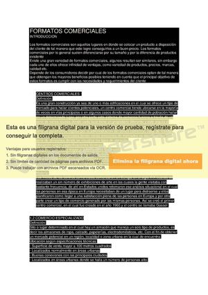 Formatos Comerciales Pdf