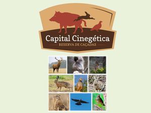 Capital Cinegética - Conheça-nos (ES)!