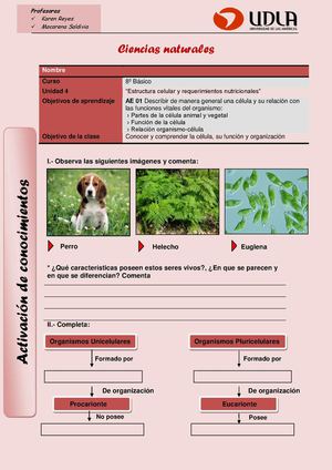 Celula Y Sus Organelos