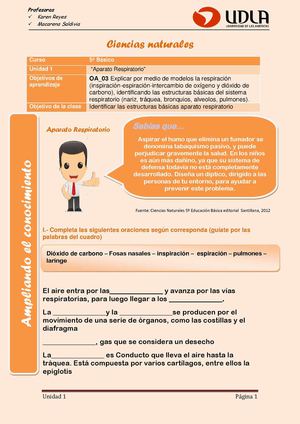 Guia Ciencias A Respiratorio