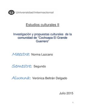 Trabajo Final Revista Calameo, Comunidad De Cochapa Gro