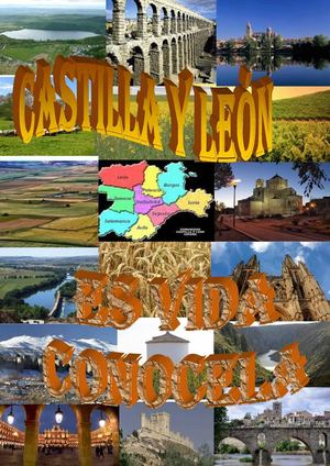 2015. Marce Pérez Primo. Zamora. Castilla Y León