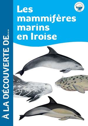 A la découverte de ... Les mammifères marins en Iroise