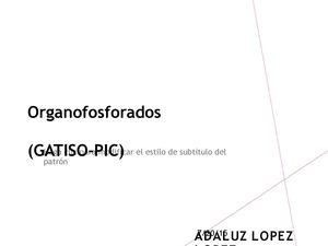 Exposicion Plaguicidas