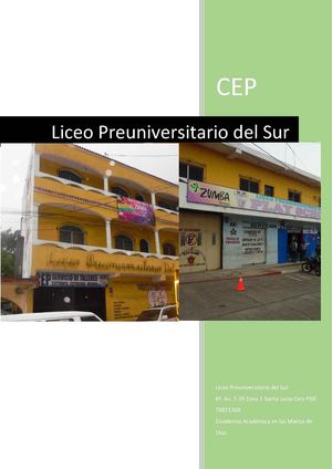 Liceo Preuniversitario Del Sur