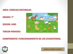 Clase 7° Relaciones Ecologicas