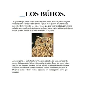 Los Búhos.