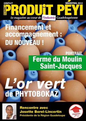 PRODUIT PEYI N°3 - 2012