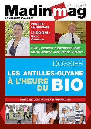 MadinMag 11 - 2013 JANV FEV