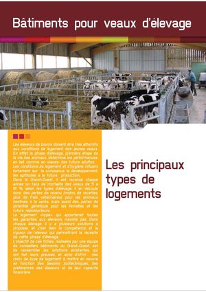 batiment-veaux-elevage