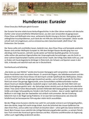 Hunderasse Eurasier