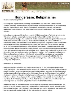 Hunderasse Rehpinscher