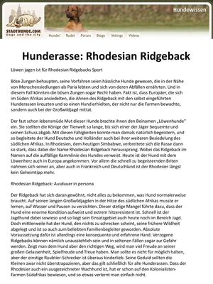 Hunderasse Rhodesian Ridgeback