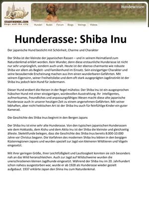 Hunderasse Shiba Inu