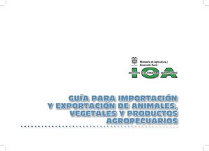 Guia De Importacion ICA