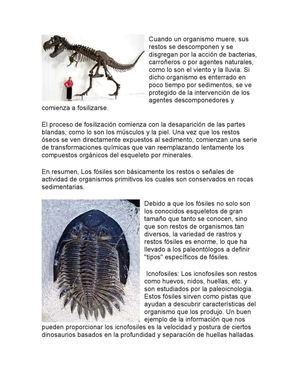 Cuando Un Organismo Muere