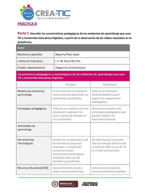 Plantilla Práctica B Mayerly Plata