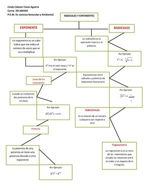 Organizador Grafico De Radicales Y Exponentes