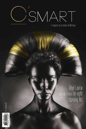 CSMART N°2 MARTINIQUE