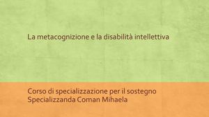 La Metacognizione E La Disabilità Intellettiva