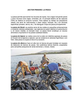 Sector primariLa Pesca
