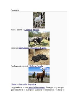 Ganadería