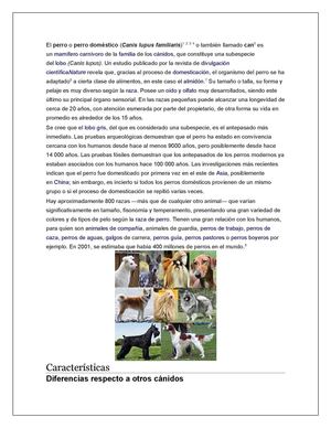 Canis Lupus Familiaris