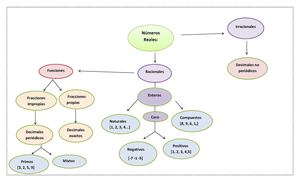 MAPA CONCEPTUAL NUMEROS REALES