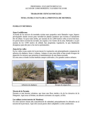 Flora Y Fauna En Mendoza Najarro 6ªB