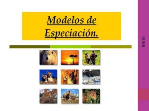 Modelos De Especiacion