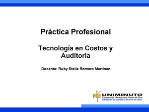 Presentación Práctica Profesional 201560