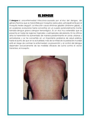 TRABAJO EL DENGUE