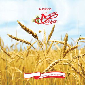 Nonnalisa Brochure 2015