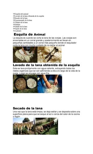 Proceso De La Lana