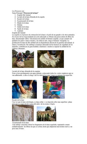 Los Procesos De La Lana