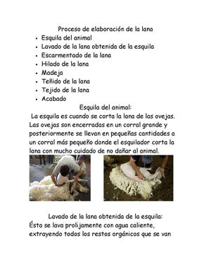 Proceso De Elaboración De La Lana De Oveja