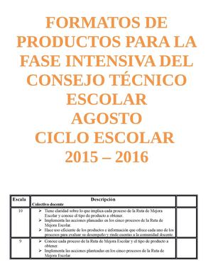 formatos para los productos del CTE fase intensiva...Luz Ma