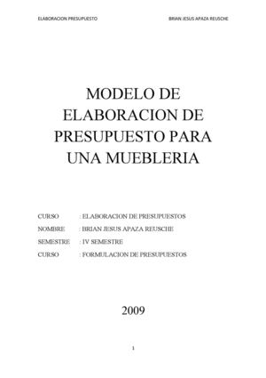 Ensayo Presupuestos 2009 Muebleria Artico
